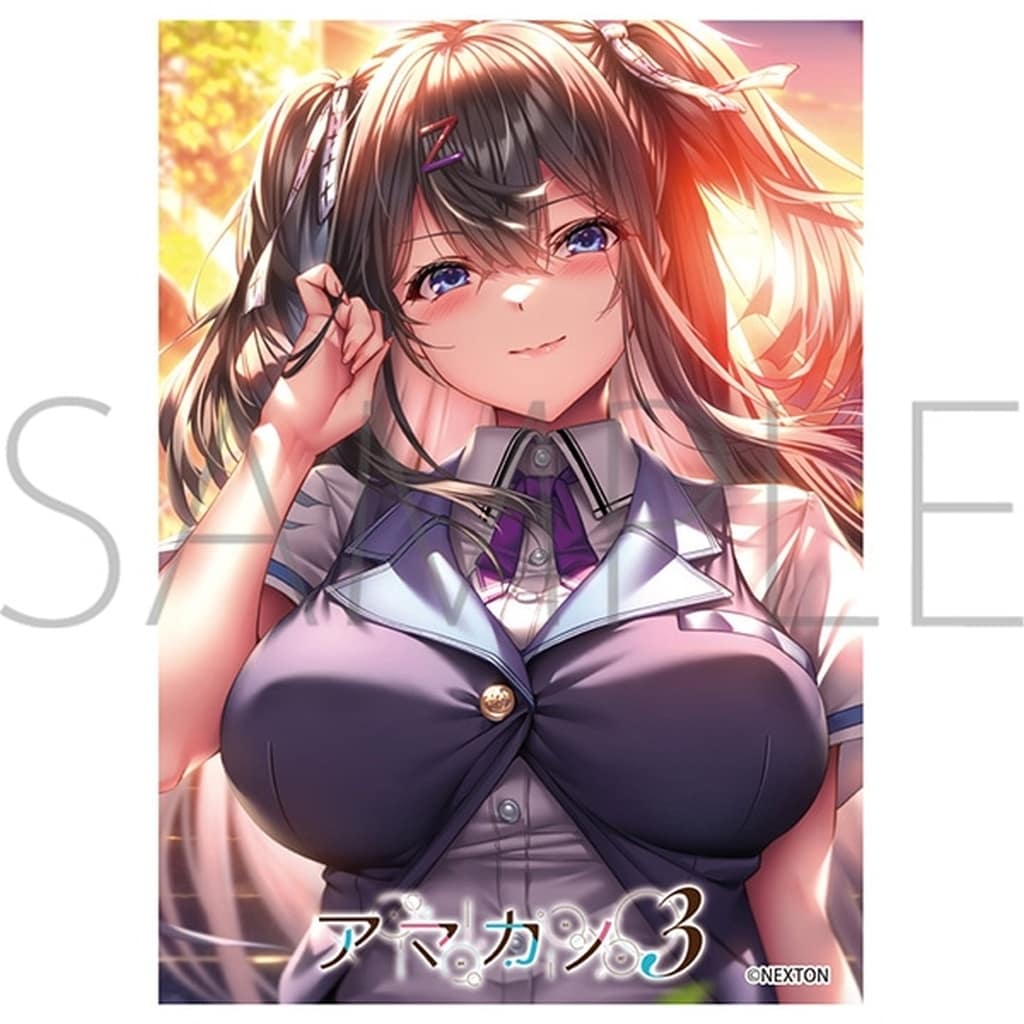 駿河屋 -<中古>きゃらスリーブコレクション マットシリーズ ネクストン