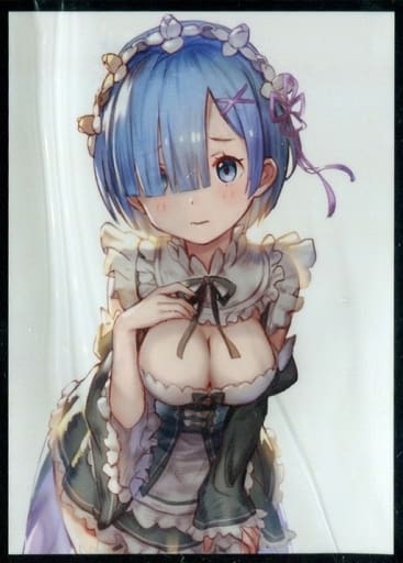 駿河屋 -<中古>【Re：ゼロから始める異世界生活】スリーブ レム