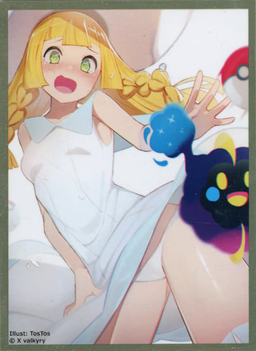 駿河屋 -【アダルト】<中古>【ポケットモンスター】X valkyry