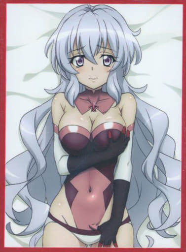 駿河屋 -<中古>【戦姫絶唱シンフォギア】スリーブ 雪音クリス インナー