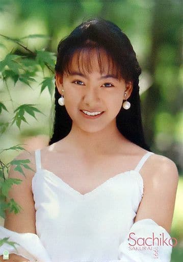 桜井幸子 1993年カレンダー(CL-19 ) 開封済み未使用品。 駿河屋 -<中古>桜井幸子 1991年度カレンダー（写真集系）