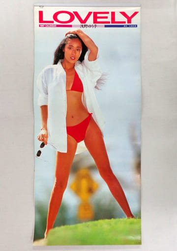 浅野ゆう子 1989年 カレンダー 写真集 浅野ゆう子,1989年,1990年,1991年,1992年,カレンダー,4部,水着,ビキニ