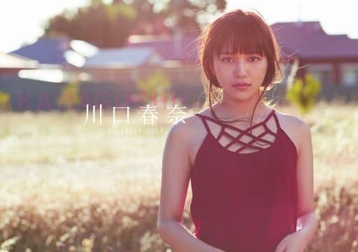 八代目火影さま専用 川口春奈 カレンダー 2010 - メルカリ