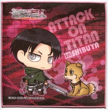 Captain Levi Inu Taor Attack On Titan Wall Maria Branch Special Branch Animate Ikebukuro Branch Limited Goods Accessories Suruga Ya Com