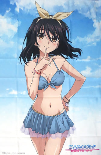 タオル・手ぬぐい(キャラクター)　姫柊雪菜 120cmビッグタオル 「ストライク・ザ・ブラッド」 駿河屋 -<中古>姫柊雪菜 ビッグマイクロファイバータオル
