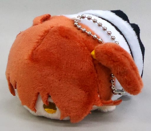 Main Character Female Mochimochi Mascot Fate Grand Order Animate Box Purchase Benefits Goods Accessories Suruga Ya Com