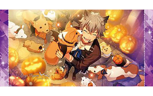駿河屋 -<中古>大神晃牙 ビジュアルバスタオルvol.3 「あんさん