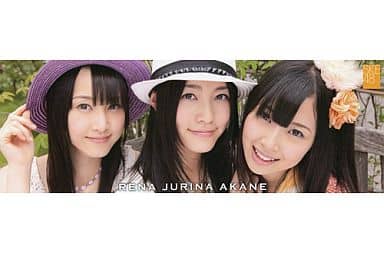 No 11松井玲奈 松井珠理奈 高柳明音 Ske48角色海报收藏 杂货 小物件 Suruga Ya Com