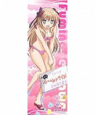 迷い猫オーバーラン！金銀スリーブ　芹沢 文乃 Amazon.co.jp: エクセレントモデル 迷い猫オーバーラン! 芹沢 文乃