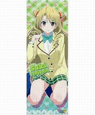 駿河屋 -<中古>サキ Saki もっとToLOVEる キャラポスコレクション 