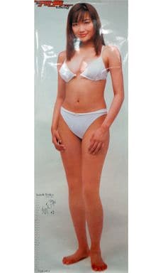 駿河屋 -<中古>等身大ポスター 佐藤江梨子 月刊アサヒ芸能