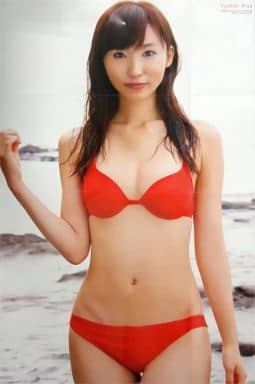 駿河屋 -<中古>実物大ポスター(16頁折) 吉木りさ 漫画アクション2013年