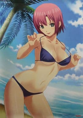 駿河屋 -<中古>[単品] B2ポスター Rio(水着) 「PS2ソフト 楽勝 