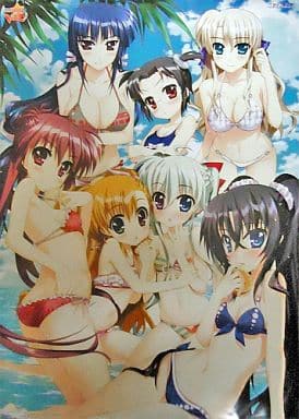 駿河屋 -<中古>描き下ろしB2ポスター インターミドル真夏の水着