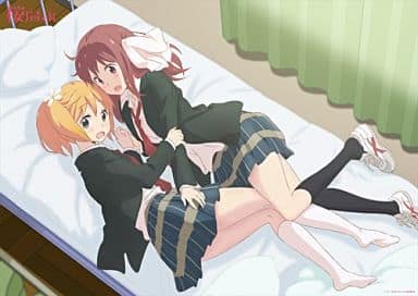 駿河屋 -<中古>A3クリアポスター 高山春香＆園田優 「桜Trick」（アニメ）