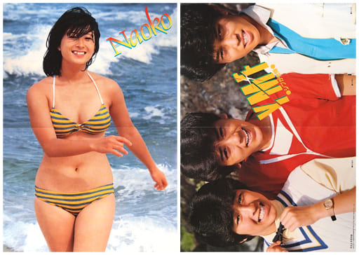 駿河屋 -<中古>両面ポスター(二つ折) 河合奈保子/シブがき隊 月刊平凡