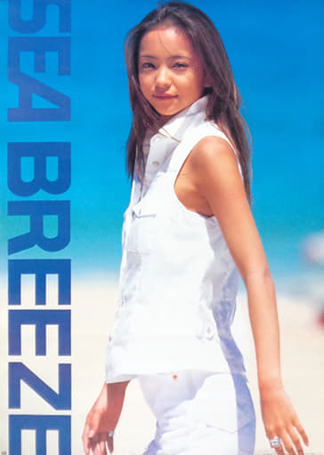 駿河屋 -<中古>B2販促ポスターD 安室奈美恵 「SEA BREEZE