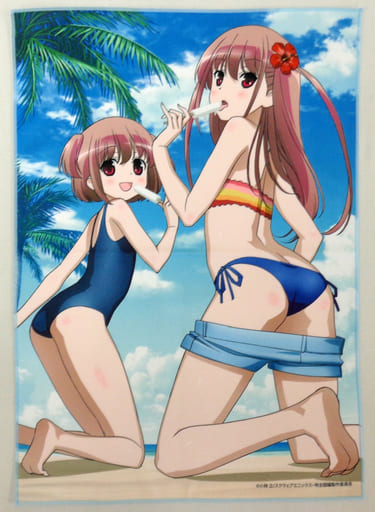 新品 咲-Saki-全国編新子憧限定版DX　B3クロスポスター付属 フィギュア 新品 咲-Saki-全国編新子憧限定版DX B3クロスポスター付属 フィギュア