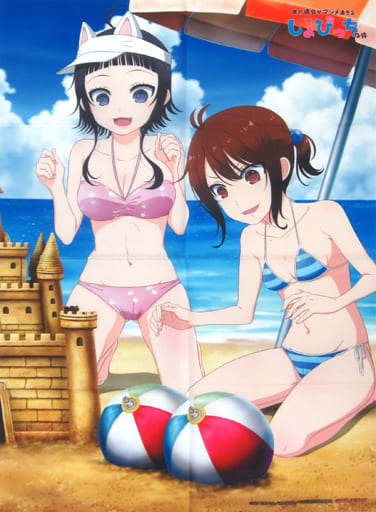 僕の彼女がマジメ過ぎる処女ビッチな件　布ポスター　全巻購入特典 Amazon.co.jp: 僕の彼女がマジメ過ぎる処女ビッチな件(3) (角川