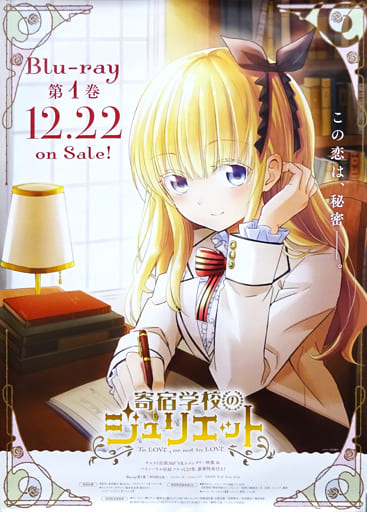 素晴らしい外見 駿河屋 -<中古>告知B2ポスター 「Blu ジュリエット・ペルシア ポスター