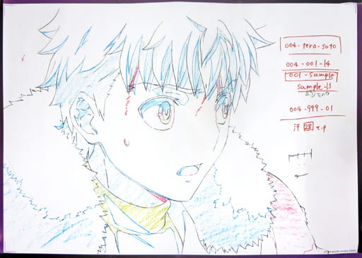 Original Picture Poster Shiro Emiya Theater Version Fate Stay Night Heaven S Feel Ii Lost Butterfly Ufotable Dining Epilogue Period Fun Kuji W Chance Premium Goods Accessories Suruga Ya Com