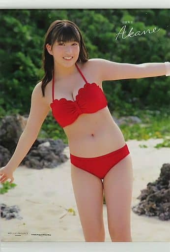 モーニング娘。水着ポスター モーニング娘。水着ポスター｜タレントグッズ