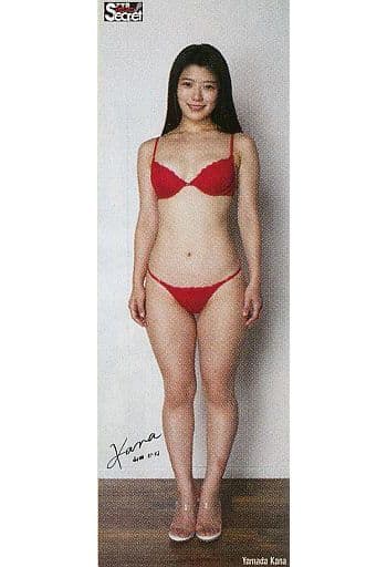 駿河屋 -<中古>等身大ポスター 山田かな アサ芸Secret! Vol.77 応募者