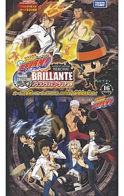 駿河屋 -<中古>【BOX】家庭教師ヒットマンREBORN! トレーディング