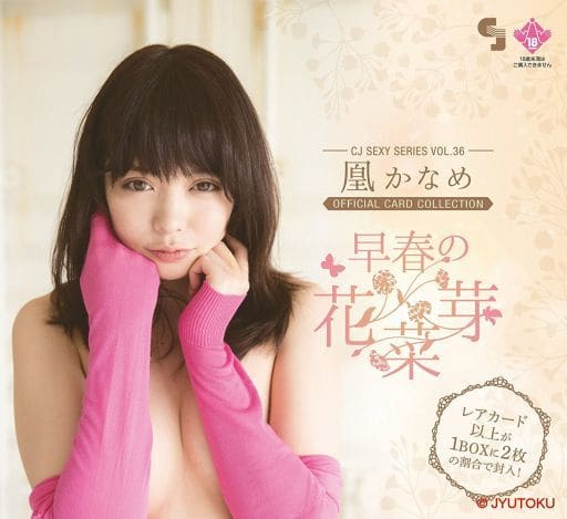 CJ SEXY CARD 鳳かなめ 直筆サインカード シリアルNo.02/20 駿河屋 -【アダルト】<新品/中古>CJ 鳳かなめ オフィシャルカード