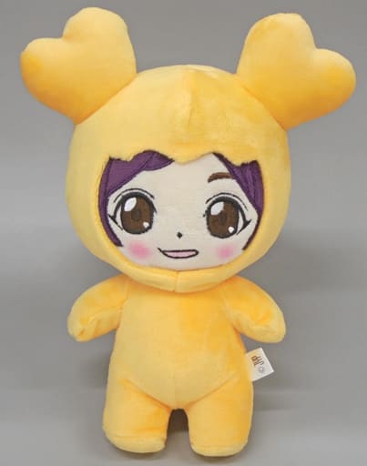 ぬいぐるみ [美品] ジヒョ ぬいぐるみ 「TWICE WORLD TOUR 2019 