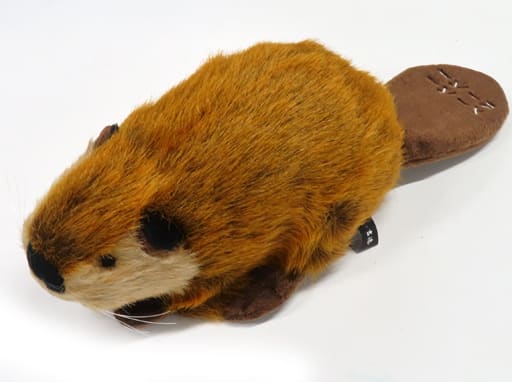 スーパービーバーちゃん Amazon.co.jp: SUPER BEAVER ぬい スーパービーバーちゃん