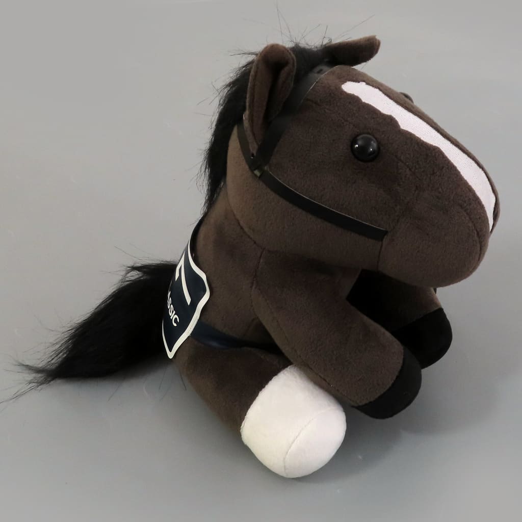 アイドルホース　イクイノックス　ドバイシーマクラシック Amazon.co.jp: イクイノックス ドバイシーマクライマックス