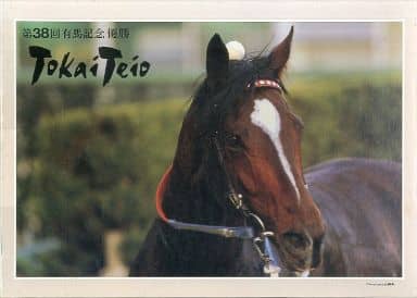 【未開封】トウカイテイオー 第38回有馬記念 1000P パズル 未開封】トウカイテイオー 第38回有馬記念 1000P パズル - メルカリ