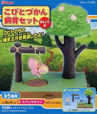カクレモモジリ飼育セット！！！ Amazon.co.jp: こびとづかん 飼育セット kabaya カクレモモジリ こびと