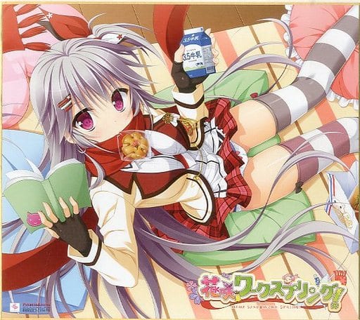 駿河屋 -<中古>不知火祈 フルカラー色紙 「花咲ワークスプリング