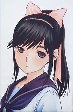 抱枕床單 角色 Loveplus高嶺愛花抱枕套 雜貨 小配件 Suruga Ya Com