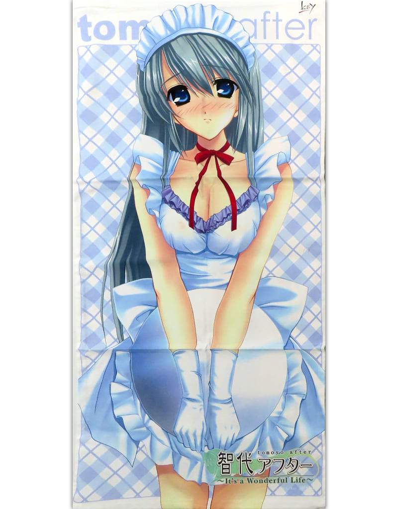 リアライブ　ソフマップ特典抱き枕カバー　a