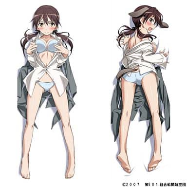 【PSA10】ゲルトルート・バルクホルン 抱き枕カバー特典カード 2枚一組セット PSA10】ゲルトルート・バルクホルン 抱き枕カバー特典カード 2枚一組