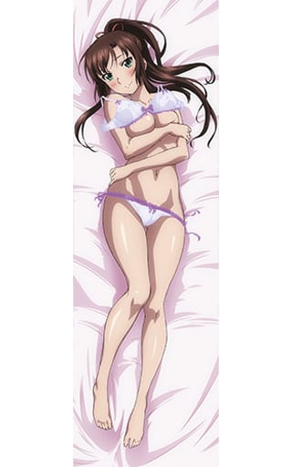 煌坂紗矢華新插圖抱枕套 2way經編 噬血狂襲strike The Blood 雜貨 小配件 Suruga Ya Com