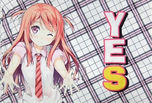 駿河屋 -<中古>くるみ＆しずく(カントク) YES!NO!枕カバー（抱き枕 
