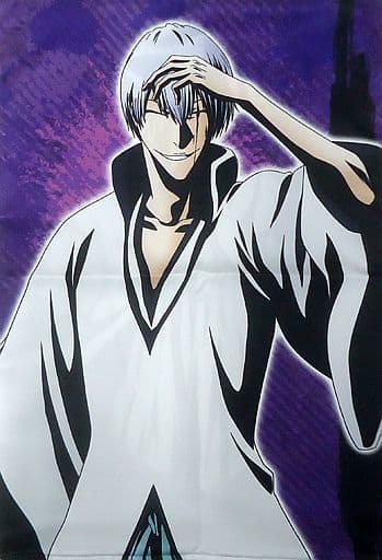 駿河屋 -<中古>市丸ギン ピローケース 「BLEACH-ブリーチ- WEBくじ第2 