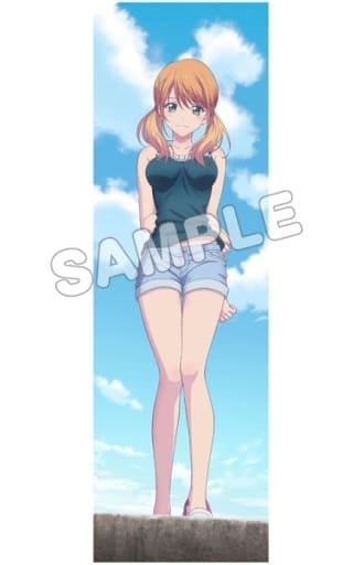 女神のカフェテラス 描き下ろし抱き枕カバープレミアム 月島流星TBSグロウディア 駿河屋 -<中古>月島流星 描き下ろし抱き枕カバープレミアム 「女神の