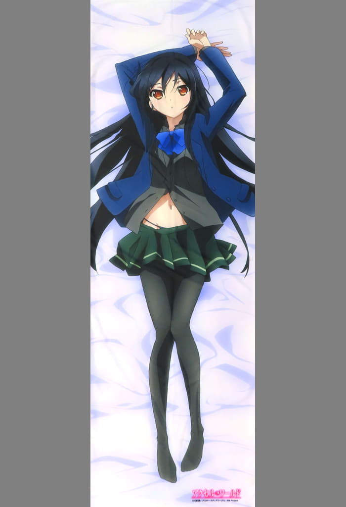 駿河屋 -<中古>[破損品] 黒雪姫(アニメ版) 抱き枕カバー 「アクセル