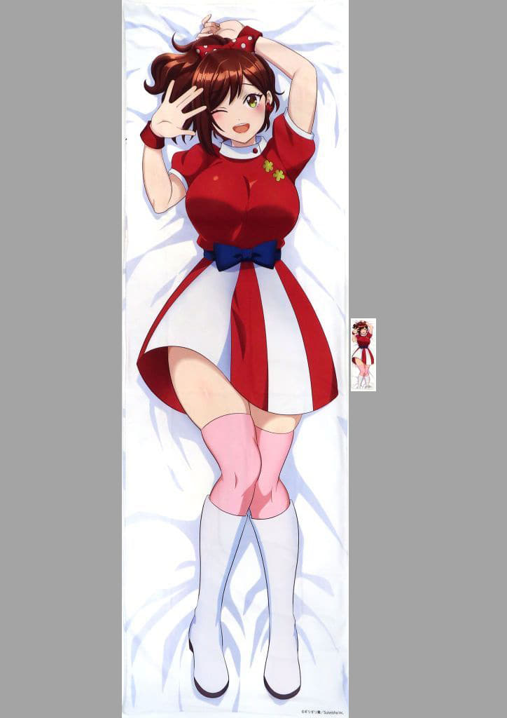 駿河屋 -【アダルト】<中古>[特典付き] みなみお姉さん 抱き枕カバー  