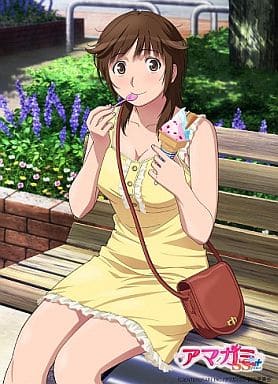 アマガミ 桜井梨穂子 スリーブ 駿河屋 -<中古>桜井梨穂子柄 もふもふひざ掛け 「アマガミSS+」（抱き