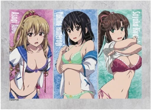 ストライク・ザ・ブラッドFINAL_メモリアルアート お着替え ver.2 駿河屋 - 【買取】ストライク・ザ・ブラッドFINAL メモリアルアート お