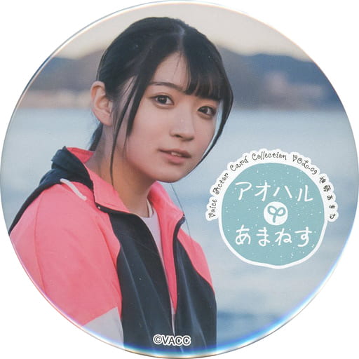 駿河屋 -<中古>進藤あまね/ぶかつどう ビッグ缶バッジ 「Voice