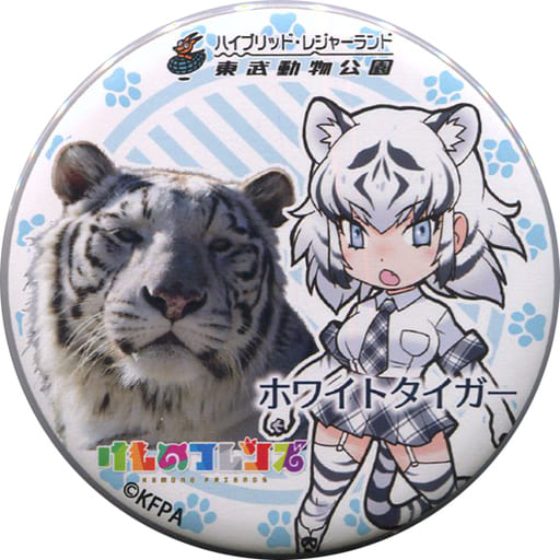 Badge Pins Victor Character White Tiger S Original Metal Badge Kemono Friends X Tobu Zoo Collaboration Project I M Going To See Tobu Friends Beaver Guide Benefit Of Tomio Or