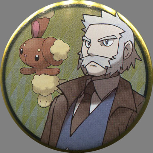 Dr Japanese Rowan Buneary Pocket Monsters Metal Badge Collection Shin Oh Edition Pokemon Center Only Goods Accessories Suruga Ya Com