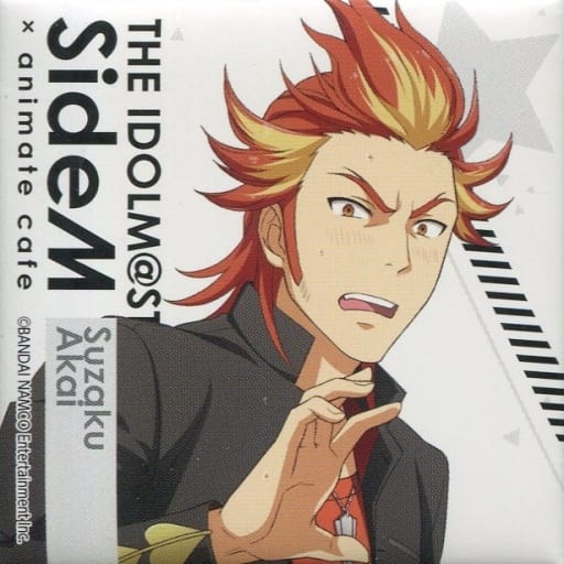 红井朱雀 偶像大师sidem Animatecafe集换式方形徽章vol 2b组 杂货 小物件 Suruga Ya Com